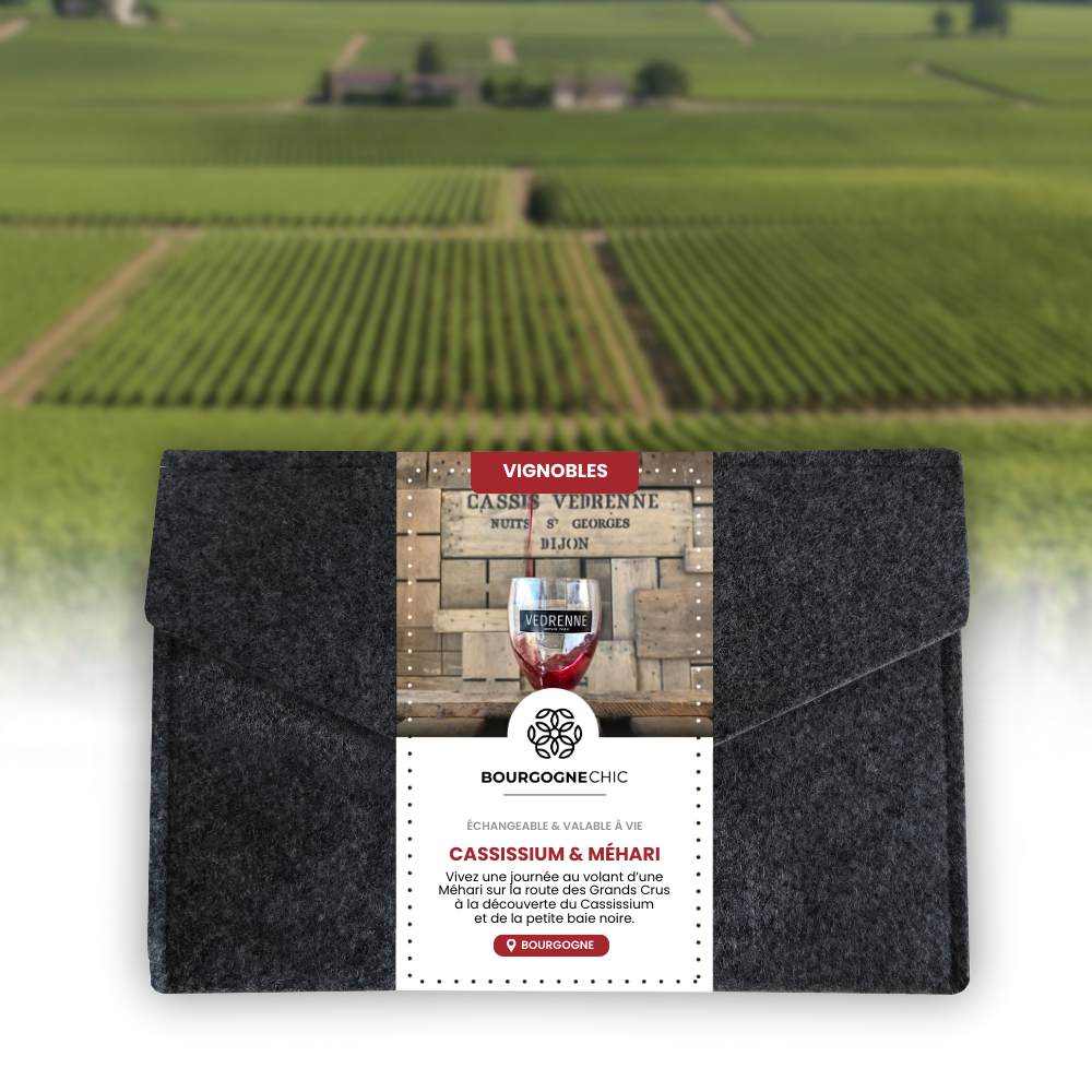 Coffret Cadeau Citroën MÉHARI • Escapade libre en duo + Visite du Cassissium